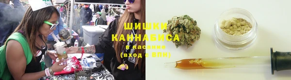 бутират Дмитриев