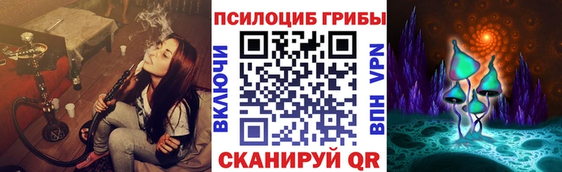Купить закладки  Николаевск  Псилоцибиновые грибы Psilocybe 