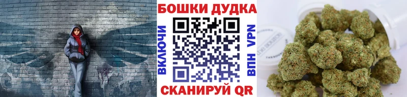 Шишки марихуана семена Купить Николаевск